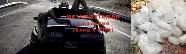 индика Ельня