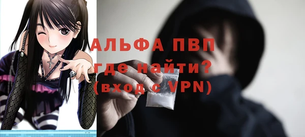 спиды Семёнов