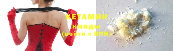 индика Ельня