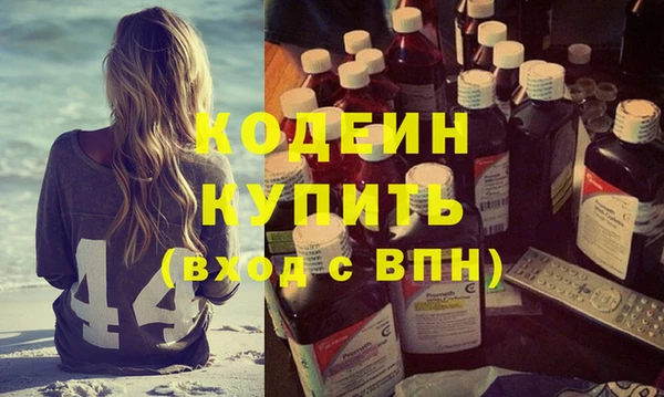 индика Ельня