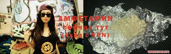 индика Ельня