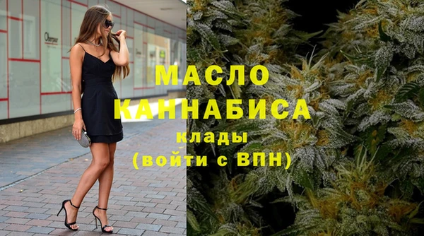 индика Ельня